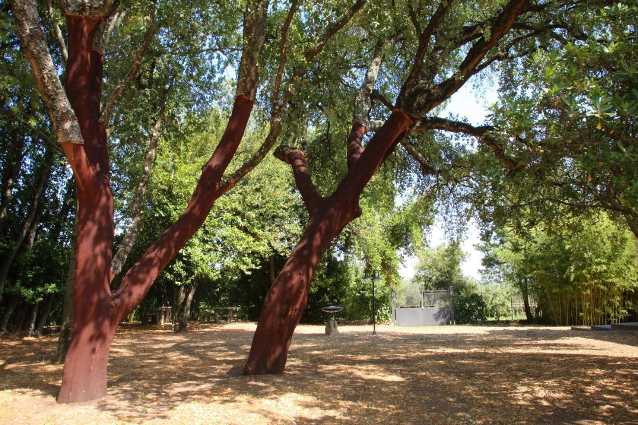 كابرارولا Agriturismo Casale Zuccari المظهر الخارجي الصورة