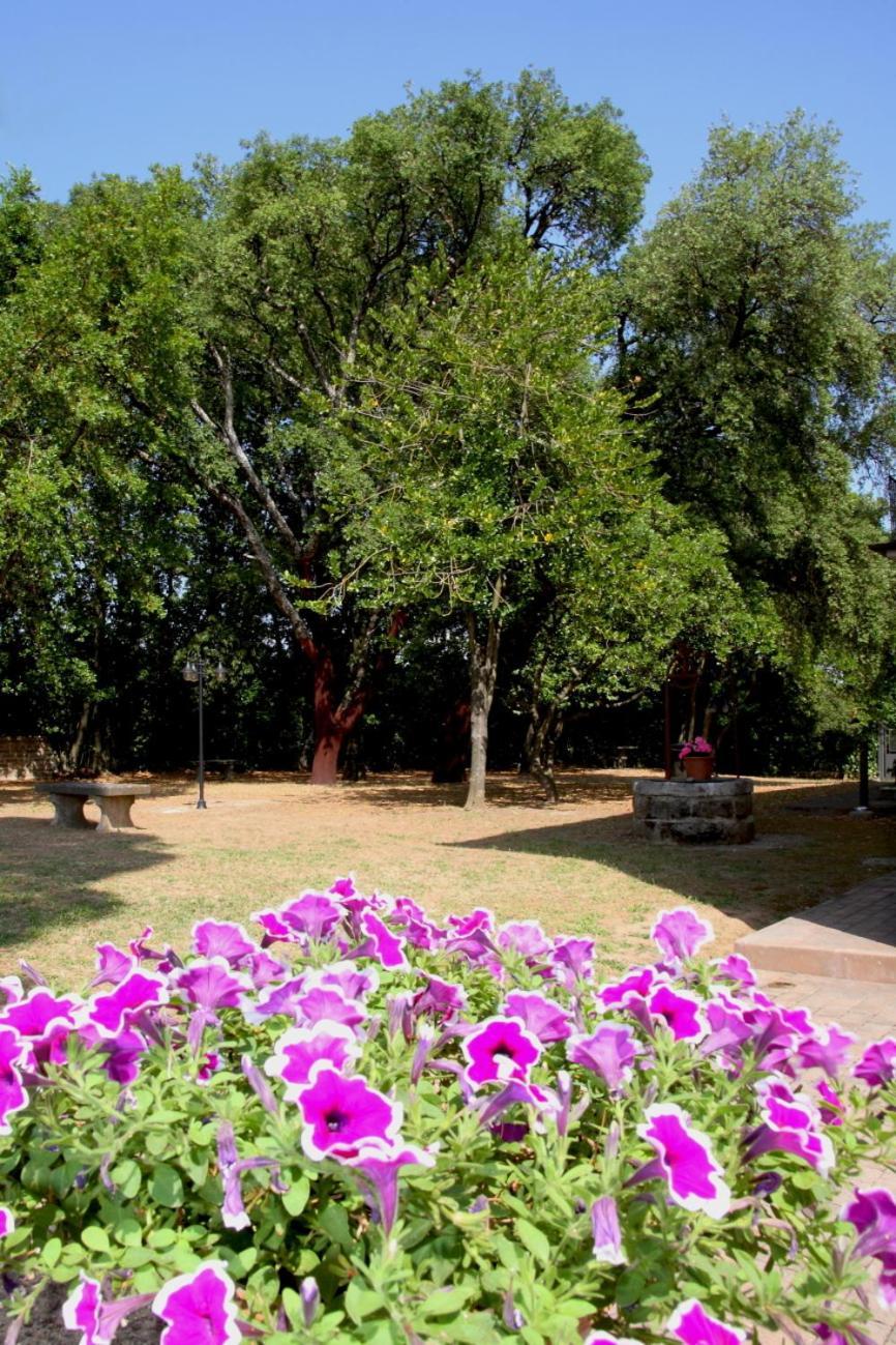 كابرارولا Agriturismo Casale Zuccari المظهر الخارجي الصورة