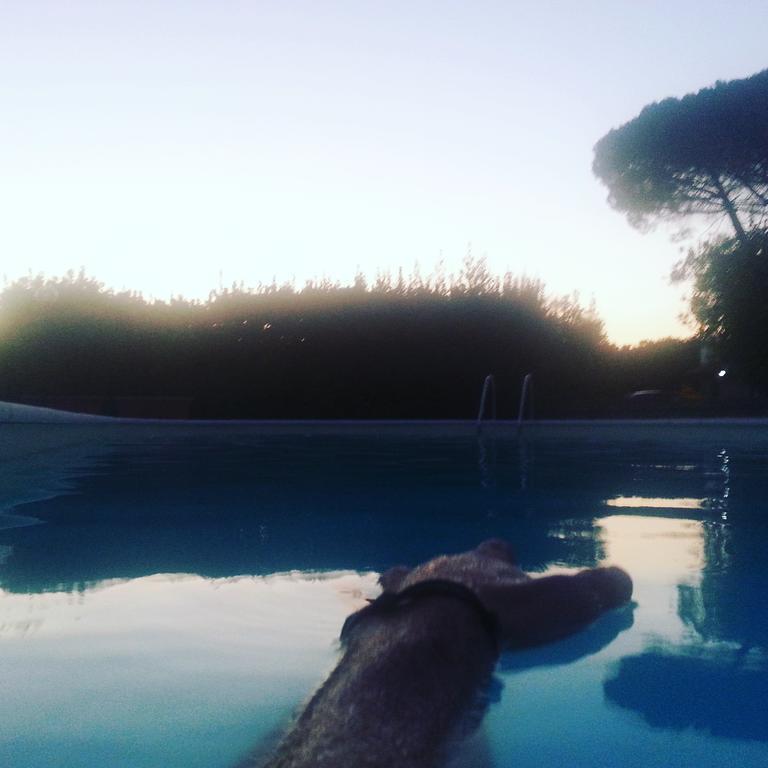 كابرارولا Agriturismo Casale Zuccari المظهر الخارجي الصورة