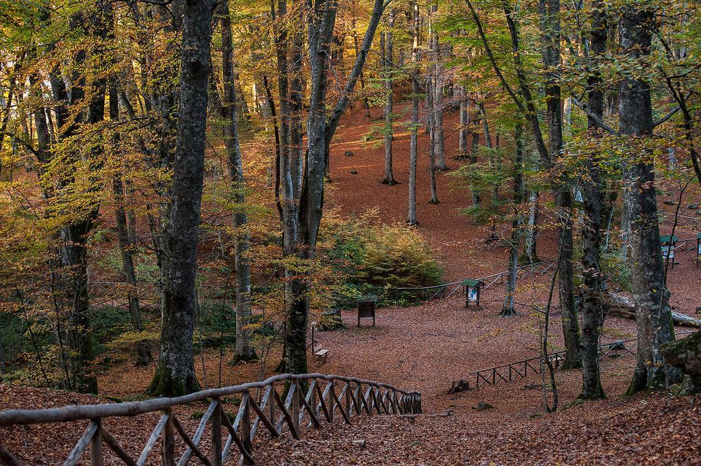 كابرارولا Agriturismo Casale Zuccari المظهر الخارجي الصورة